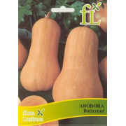 Abóbora Butternut